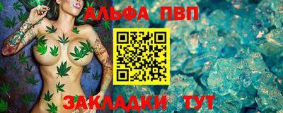 крисы Малгобек