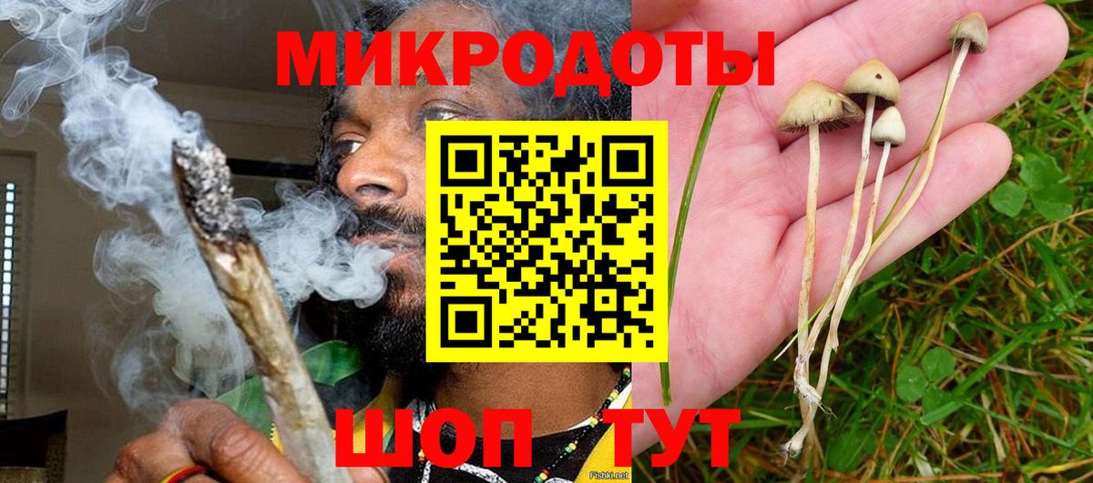 Троицк  закладка  Вход с VPN  Псилоцибиновые грибы Cubensis  Галлюциногенные грибы мухоморы 